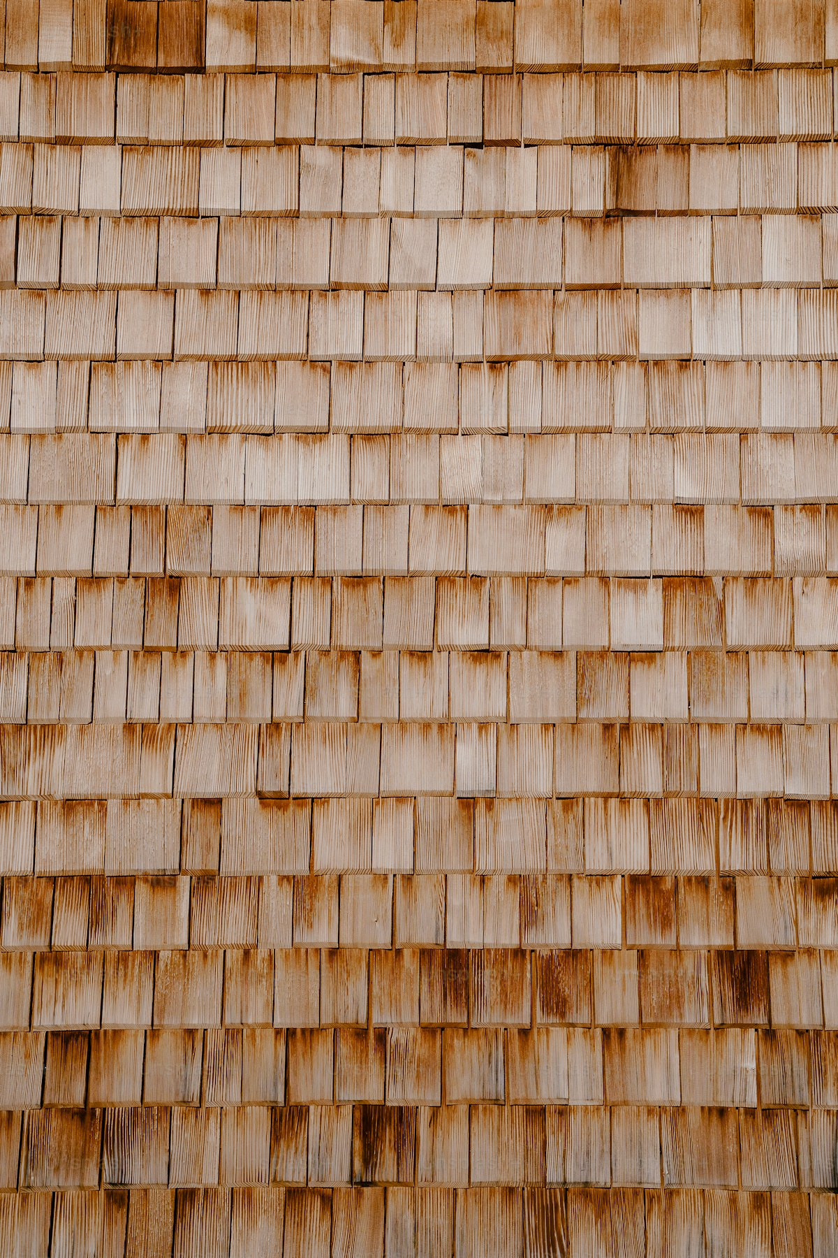 Cedar Shake Roof Cleaning: What Gilbert Homeowners Need to Know