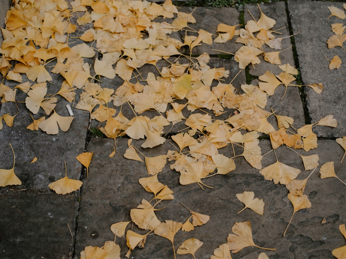 Gutter Cleaning Cost: What to Expect in Gilbert, Arizona