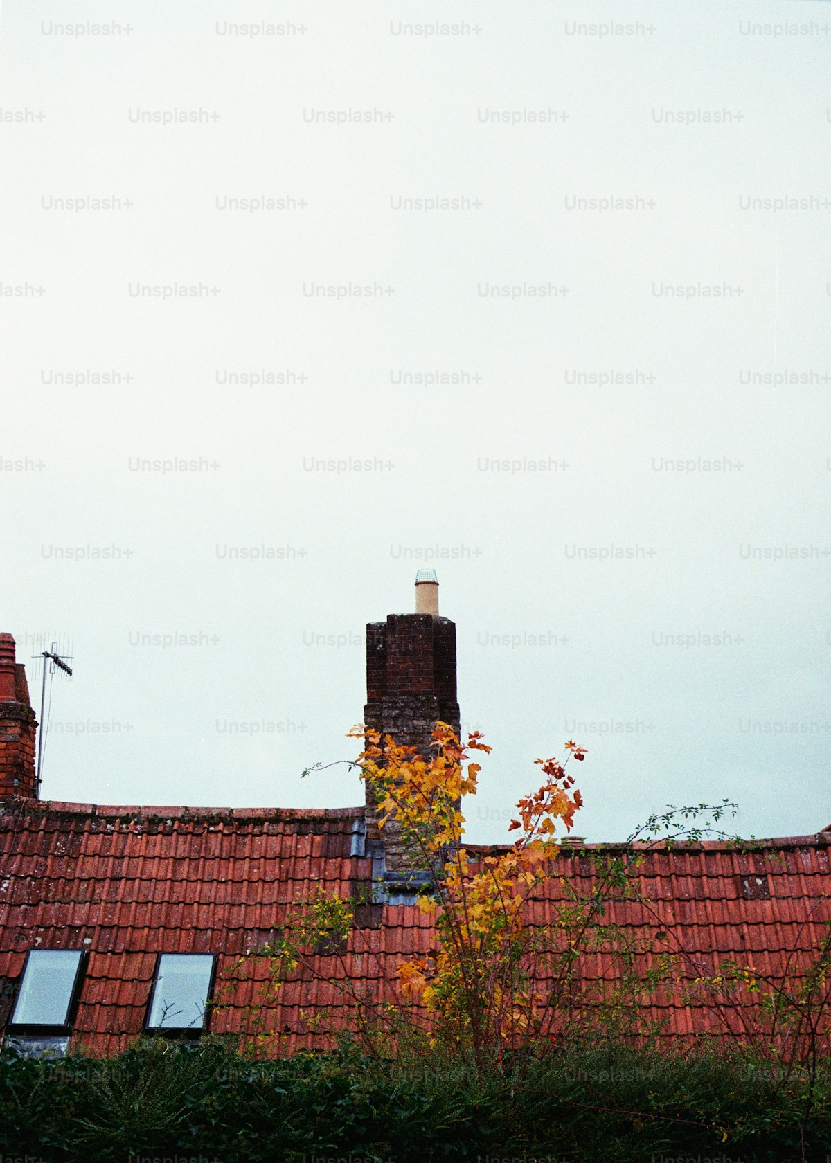 How Much Does Roof Cleaning Cost in Gilbert, Arizona? (2026 Price Guide)